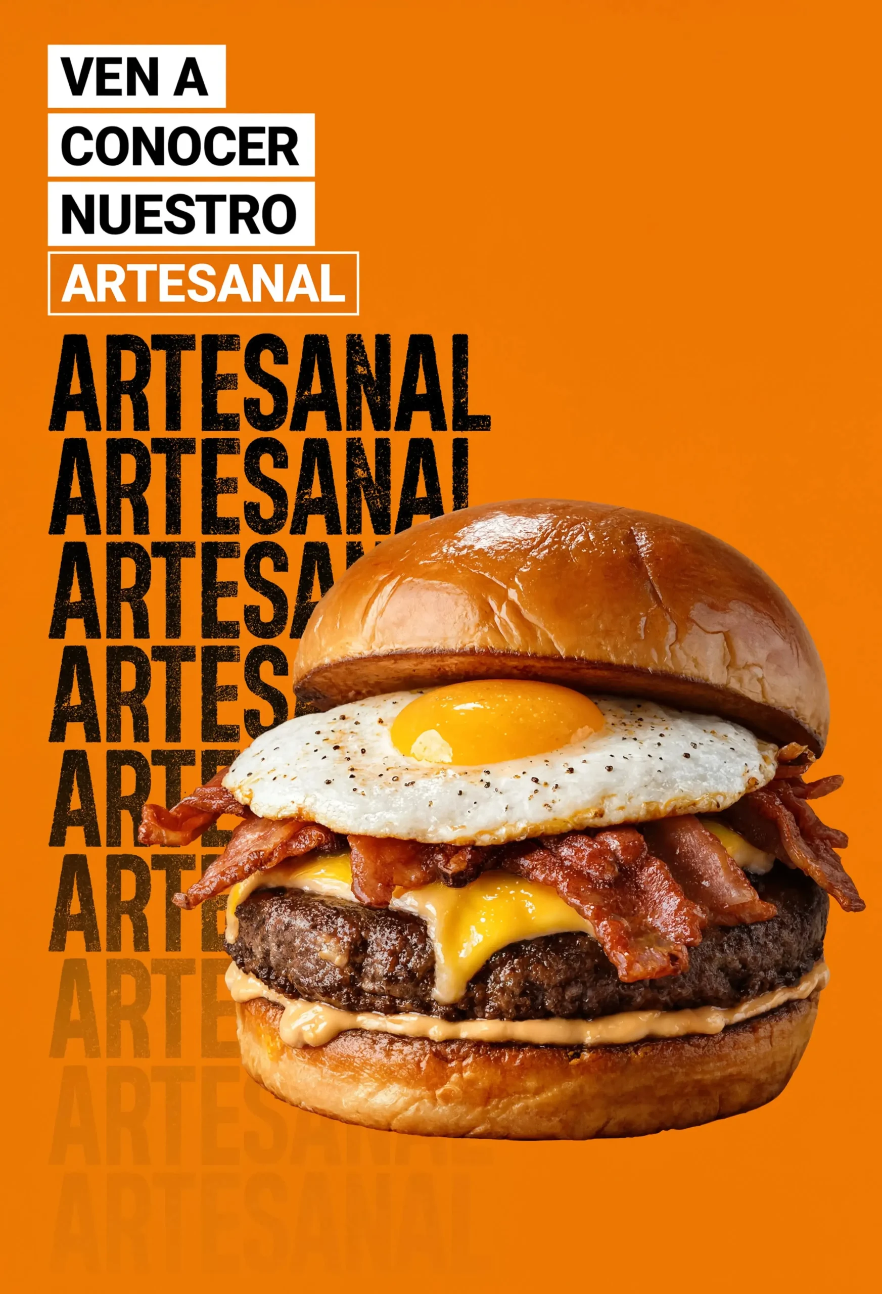 Artesanal _ sin logo